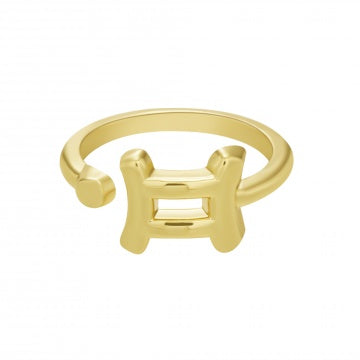 Zodiac Sign Signet Ring - Aquarius - Symbol | Jewelry – Whitney Howard  Designs